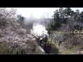 20150402桜の秩父鉄道