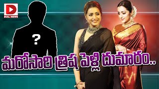 మరోసారి త్రిష పెళ్లి  దుమారం || Actress Trisha Krishnan Marriage Updates || Dial Telugu