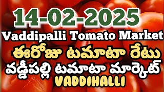 Vaddipalli Tomato Market🍅|ఈరోజుటమాటారేటు|#TodayTomatoRateInVaddipalli|14-02-2025|@ckgowthamvlogs