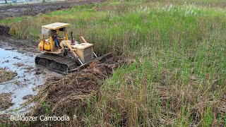 Incredible!! Operator Technique Skills Pushing Clearing Land Strong Power KOMATSU D65P Push Clearing