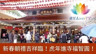 《 活動報導 》新春朝禮吉祥臨！虎年進寺福智圓！