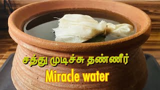 try this miracle water!!! | என்றும் இளமையாவும் சுறுசுறுப்பாவும் இருக்கனுமா? | சத்து முடிச்சு தண்ணீர்