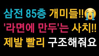 삼성전자 주주들 라면에 만두는 사치입니다 😭😭 85층에 긷힌 삼전 개미들