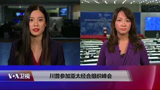 VOA连线（张佩芝岘港报道）：APEC岘港宣言；TPP变CPTPP；叙利亚声明