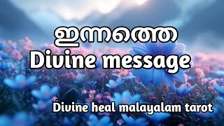 ഫെബ്രുവരി 17 തിങ്കൾ ✨🧿ഇന്നത്തെ ഡിവൈൻ ഗൈഡൻസ് 🧿✨❤️🌞Divineheal Malayalam Tarotreading 🙏✨🌞