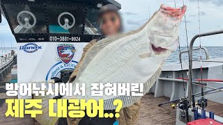 제주 방어 낚시에서 잡아버린 괴물 물고기?