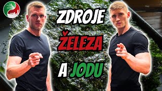 Nejčastější skryté nedostatky živin - železo, jód | Jakub Přibyl