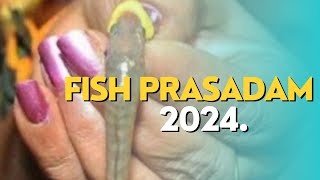 Fish Prasadam Hyderabad 2024 | Hyderabad's Fish ‘Prasadam’ Returns. #bornfortravel #hyderabad