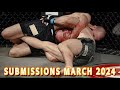 MMA Submissions of March 2024