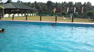 Butterfly stroke in kottarakara