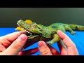 baby t rex catch cute chicks funniest dino park sound u0026 light unbox indominus rex evolution