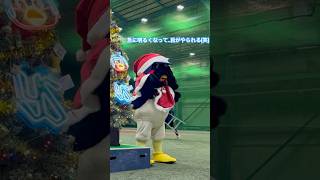 つば九郎🐧🎄電気がついた途端、やっぱり恥ずかしがる(笑)2024/12/15