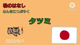 【タツミ】株のはなしのんきにつぶやく