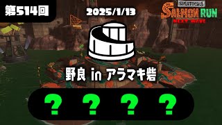 【全ステ野良ノーミス勢】アラマキ砦ノーミスカンスト濃厚配信！！【スプラトゥーン3/サーモンラン】