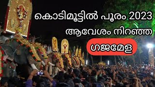 kodimoottil pooram 2023 ആവേശം നിറഞ്ഞ കൊടിമൂട്ടിൽ ഗജമേള #TRIVIANSVLOG