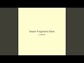 Dream Fragments Silver