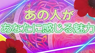 【タロット占い】あの人が感じてるあなたの魅力