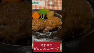 【静岡県】最強コスパ『さわやか』ハンバーグ