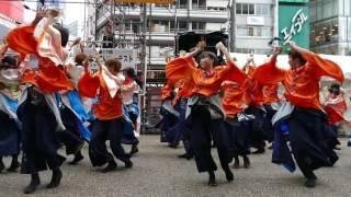 千葉工業大学　よさこいソーラン 風神 （ 2016東京よさこい・駅前メイン会場）