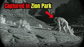 Stop going to Zion Park without knowing these 6 MYSTERIES (Warning!)