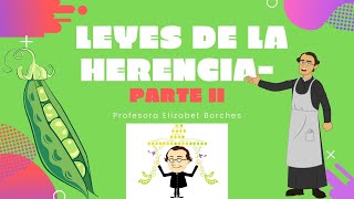 Leyes de la herencia  Parte II