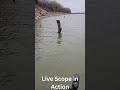 Garmin Live Scope in Action. Connecting with this Crappie!