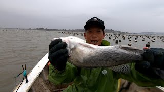 阿雄算错时机出海遇大雨，打着伞也要继续，人品爆发抓到极品鱼王