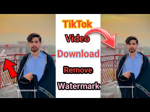 ¿Cómo eliminar la marca de agua de TikTok? ¿La marca de agua de TikTok Kaise Hataye?