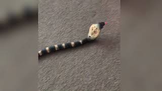 Remote Control Realistic Snake Toy