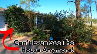 Free Front Yard Makeover For Elderly Widow In Need