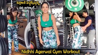 Actress Nidhhi Agerwal హాట్ Gym Workout || Nidhhi Agerwal Latest Videos || Cinema Culture