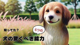 【犬の驚くべき6つの能力 !】　　#犬 #ペット #犬の能力 #動物の不思議 #ペットの知識