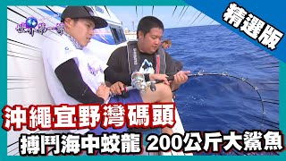 【沖繩】宜野灣海釣大內高手 搏鬥海中蛟龍200公斤大鯊魚｜《世界第一等》837集精華版