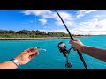 Testing The NEW Penn Authority Fishing Reel (AWESOME SNOOK FISHING)