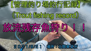 【管理釣り場釣行記録】2021.8.21（放流残存魚狩り！！）/trout fishing record