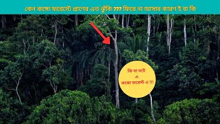 ভয়ংকর কঙ্গো রেইনফরেস্ট অজানা তথ্য | Tribble unknown facts of the Congo Rain Forest