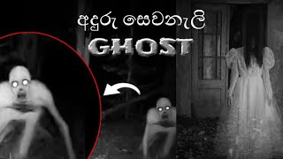 හොල්මන් දර්ශන කීපයක් ( real ghost ) බලනවනම් මෙන්න බයානක ආත්ම සීන් ටිකක්