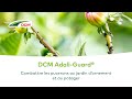 Combattre les pucerons au jardin d'ornement et au potager avec des coccinelles