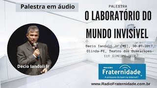 Palestra O laboratório do mundo invisível, Décio Iandoli Jr