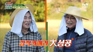 전원일기 시절 기억 살려 추수 체험 중 깜짝 등장한 오늘의 게스트는? | tvN STORY 221128 방송