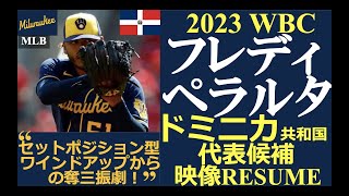 【メジャーリーガーレジュメ第77回】“セットボジション型ワインドアップ!” /フレディ・ペラルタ投手（ミルウォーキー・ブリュワーズ）/2022投球ハイライト /2023 WBC ドミニカ共和国代表候補