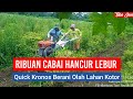 RIBUAN POHON CABAI HANCUR LEBUR, LANGSUNG BIKIN BEDENGAN BARU PAKAI TRAKTOR QUICK KRONOS