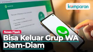 Daftar Fitur Privasi Baru WhatsApp Keluar Grup Diam diam hingga Status Online