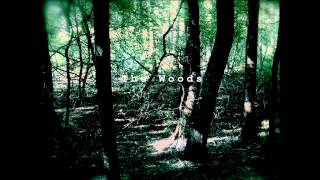 Lazy Jake - The Woods