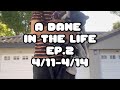 A Dane In The Life 2 : Don Luxe Tour