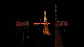 芝公園から見る夜の東京タワーが綺麗すぎた🗼🌃 #東京タワー #夜景 #芝公園 #ナイトピクニック #japan #ユーチュー部 #pr #youtubeshorts