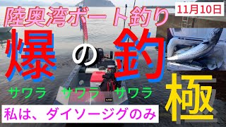 【陸奥湾ボート釣り】青物爆釣回！こんなに釣っても、いいんですか？