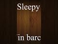 Sleep in Hausa Language. Hausa Language learning