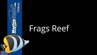 American Marine Pinpoint pH Monitor Review by Frags Reef - Marine Depot Product Test Team