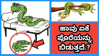 ಹಾವುಗಳು ಏಕೆ ಪೊರೆಯನ್ನು ಬಿಡುತ್ತದೆ? ಪ್ರತಿಯೊಬ್ಬರೂ ಕೂಡ ತಿಳಿಯಬೇಕಾದಂತಹ ಮಾಹಿತಿ...ll Why do snakes shed their